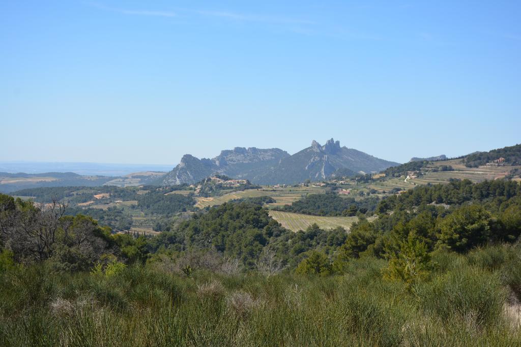 Bed and Breakfast Mas De Carabelle La Roque-Alric Exterior foto