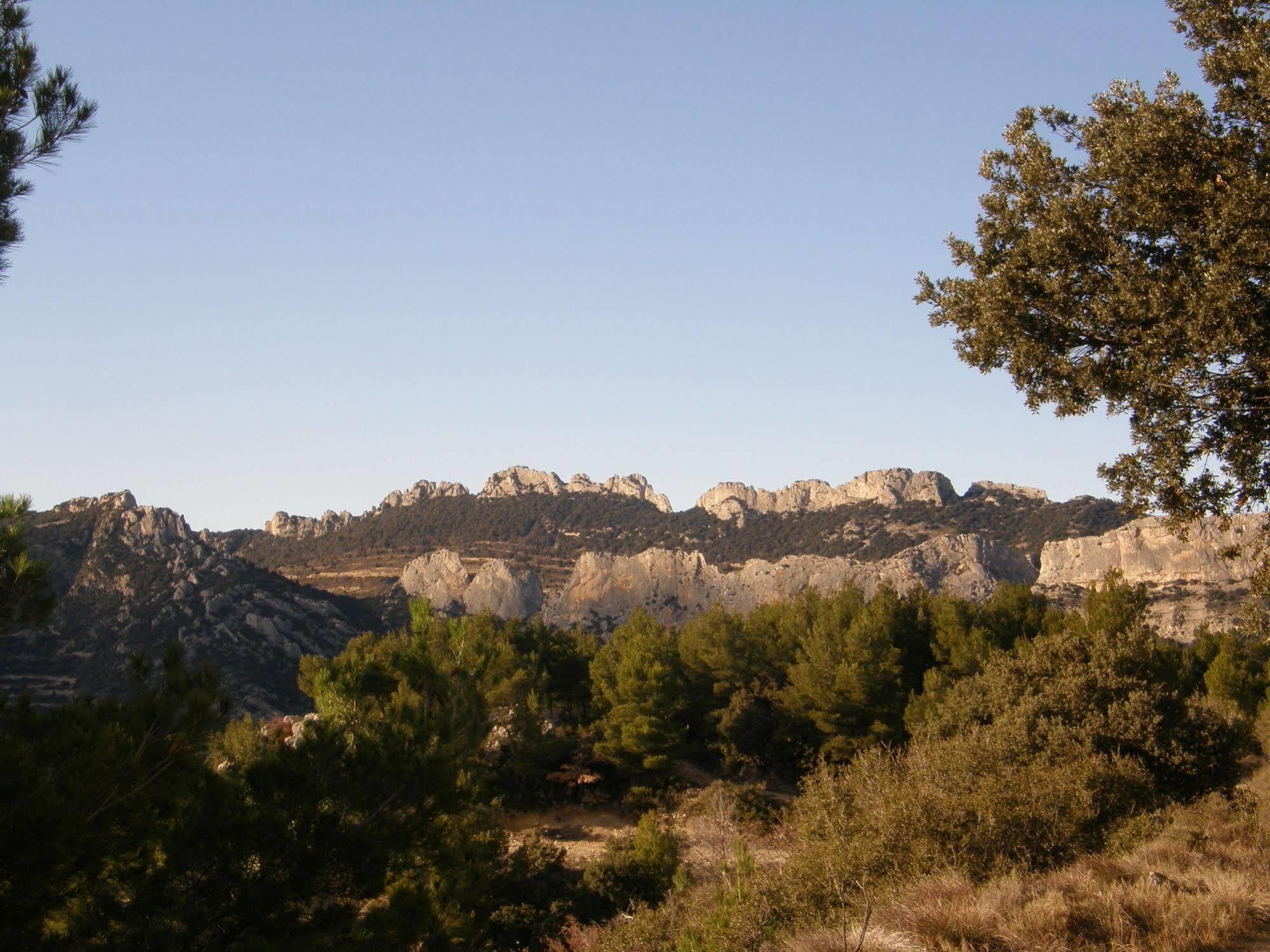 Bed and Breakfast Mas De Carabelle La Roque-Alric Exterior foto